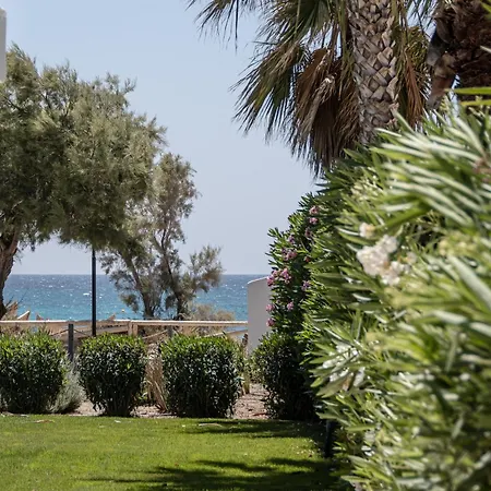 Guest house Glaronissi Beach 4*