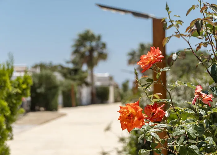 Guest house Glaronissi Beach 4*